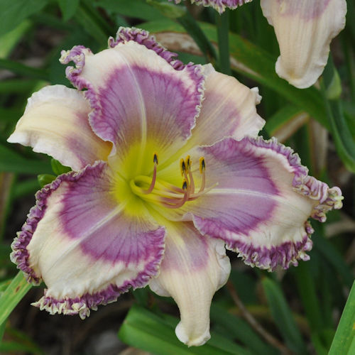 Picture of Fritz's Diner Blues